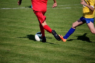 篮球训练计划科学制定与执行效果评估，篮球训练计划制定与范例